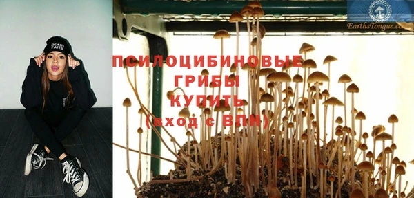мяу мяу мука Абдулино