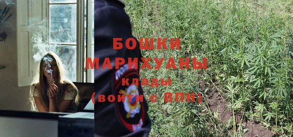 наркотики Дмитриев