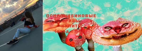 jwh Абаза