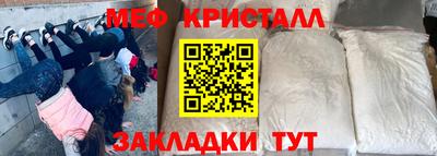 сатива Новозыбков