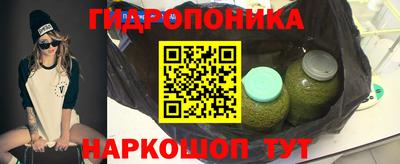 шишки Новокубанск