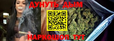 шишки Новокубанск