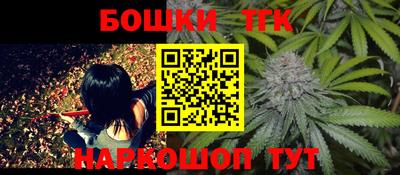 сатива Новозыбков
