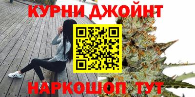 шишки Новокубанск