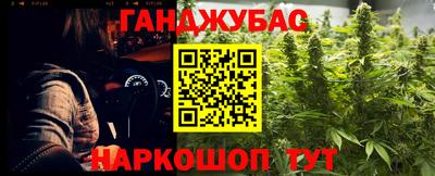 сатива Новозыбков