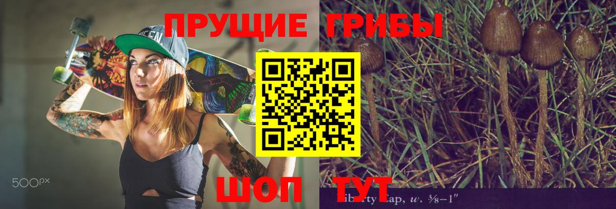 где купить   Галлюциногенные грибы мицелий  Вход с VPN  Хасавюрт 