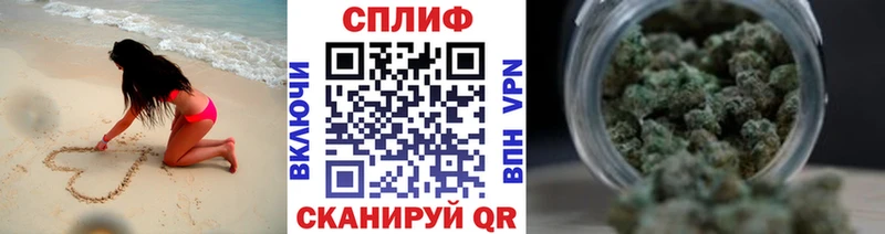 Конопля Amnesia  Хасавюрт 